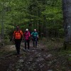 img_3648.jpg