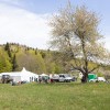 img_3633.jpg