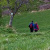 img_3536_29.jpg