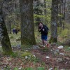 img_3599.jpg