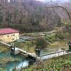 ribogojnica_lunkja_jan.jpg