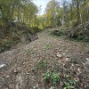 Plaz Podkraj - Radeče.jpg