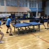 namizni-tenis, polfinale, končnica, mura-sobota, kema-murexin