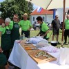 pasuljada, radmožanci