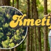 kmetija.jpg