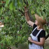 biodinamika naslovna-jun24.jpg