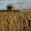 2022-10-30T195336Z_1818796175_RC2YSV9LRDWP_RTRMADP_5_UKRAINE-CRISIS-GRAINS