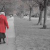 vdova-walking-69709_1920