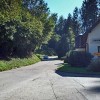 Ljubljanska-cesta-(1)