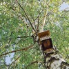 breza-nesting-box-5202377_1920
