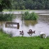škalsko-jezero_9357