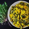 regrat-dandelion-1311709_1920