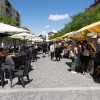 sočna-vilica, hrana, pijača