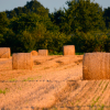 žetev-landscape-2640532_1280
