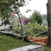 neurje_podrto_drevo_2023_07_18
