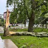 neurje-šoštanj_7949