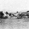 druzmirje