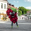 _zcvicek__01_.jpg