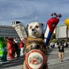 Razstava United buddy bears 4