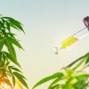 priloga cbd.jpg