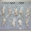 zaseg, droga