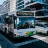 lpp, avtobus.jpg