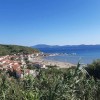 otok-susak