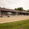 kasaške-dirke-ljutomer, memorial-mirka-hanžekoviča, hipodrom-ljutomer, kasaški-klub-ljutomer