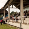 kasaške-dirke-ljutomer, memorial-mirka-hanžekoviča, hipodrom-ljutomer, kasaški-klub-ljutomer