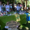 mačje-mesto, radenci, kuhanje
