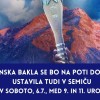 _zzzsemic.jpg
