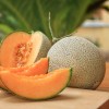 Melona, japonska melona.jpg