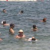909045_f159_vroc--ina_05.jpg