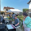 mozaik, likovna-kolonija, zavetišče-za-brezdomne, art-klub-7, likovno-društvo-gornja-radgona