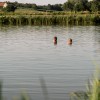 blaguško-jezero, kopanje, poletje, sup, jezero