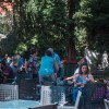 sočna-vilica, park