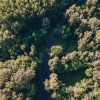 nasip, mura, dolnja-bistrica, dron
