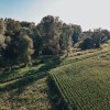 nasip, mura, dolnja-bistrica, dron