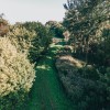 nasip, mura, dolnja-bistrica, dron