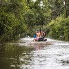orkan-debby, florida