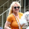 britney spears.jpg