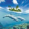 delfin