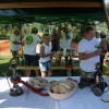 ppf, bujta-repa