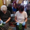 župnija-grad, okraševanje