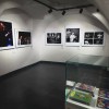 razstava Maček Muri, foto Tanja Verboten.jpg