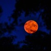 moon-simbolična.jpg