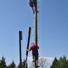 29.-dvig-klopotca, praznik-traminca, paričjak