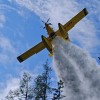 air tractor, komarča.jpg