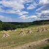 martinje, goričko, plastiči