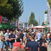 gornja-radgona, agra-2024